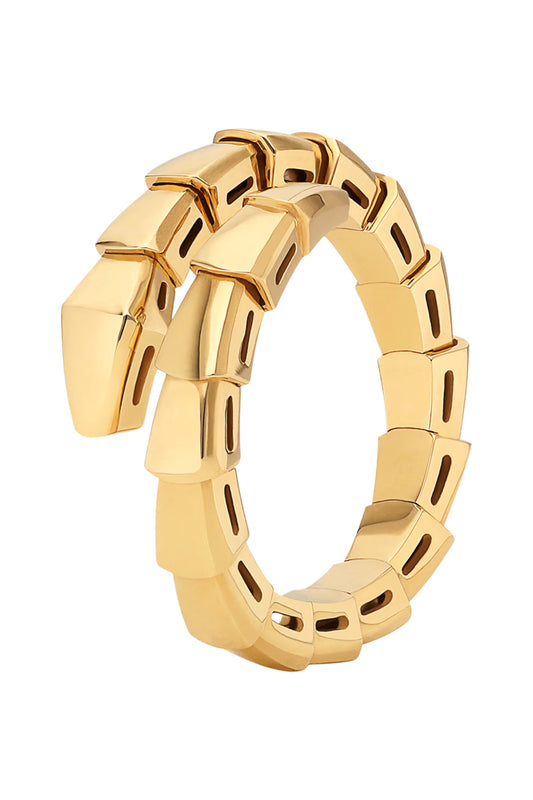 ANILLO CARTlER