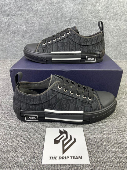 DIOR B27