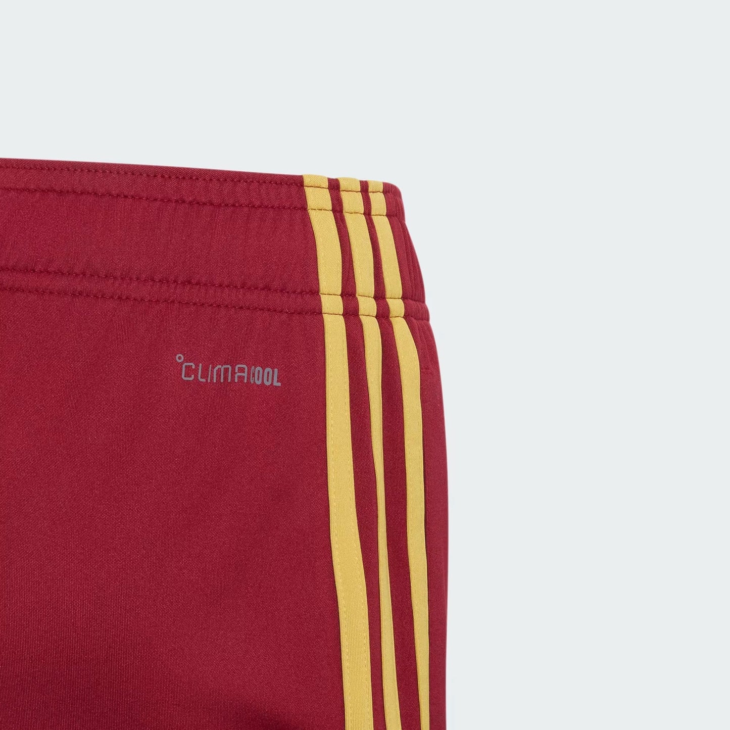 Family Kit Away WC Champion 2026