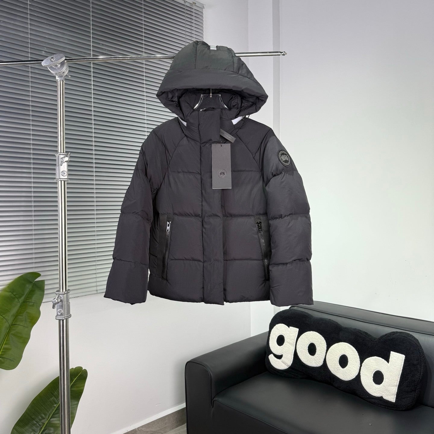 Canada Goose