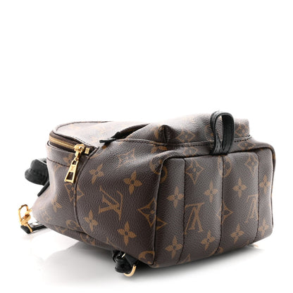 Monogram Palm Springs Backpack Mini