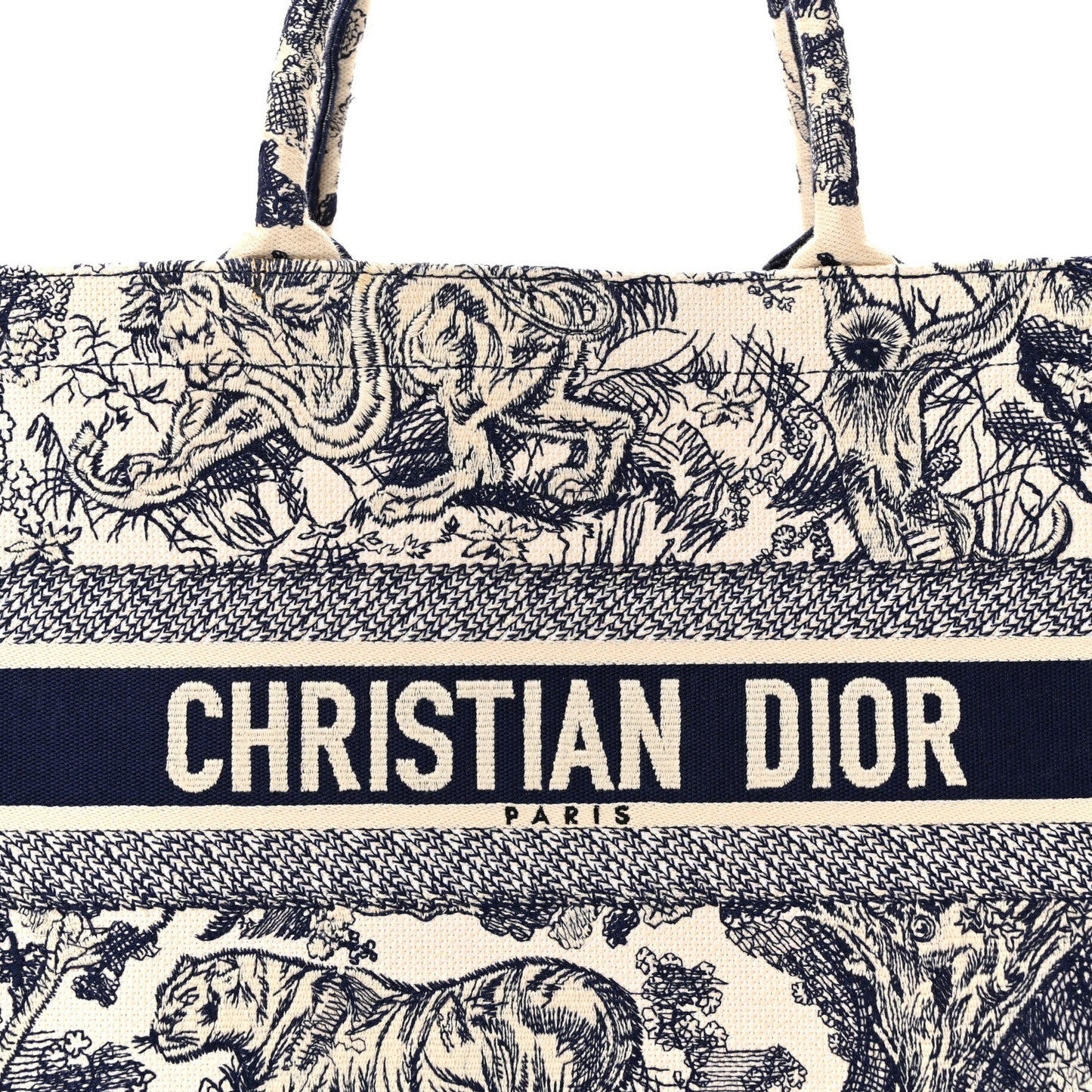 Canvas Embroidered Medium Dioriviera Toile De Jouy Book Tote Blue