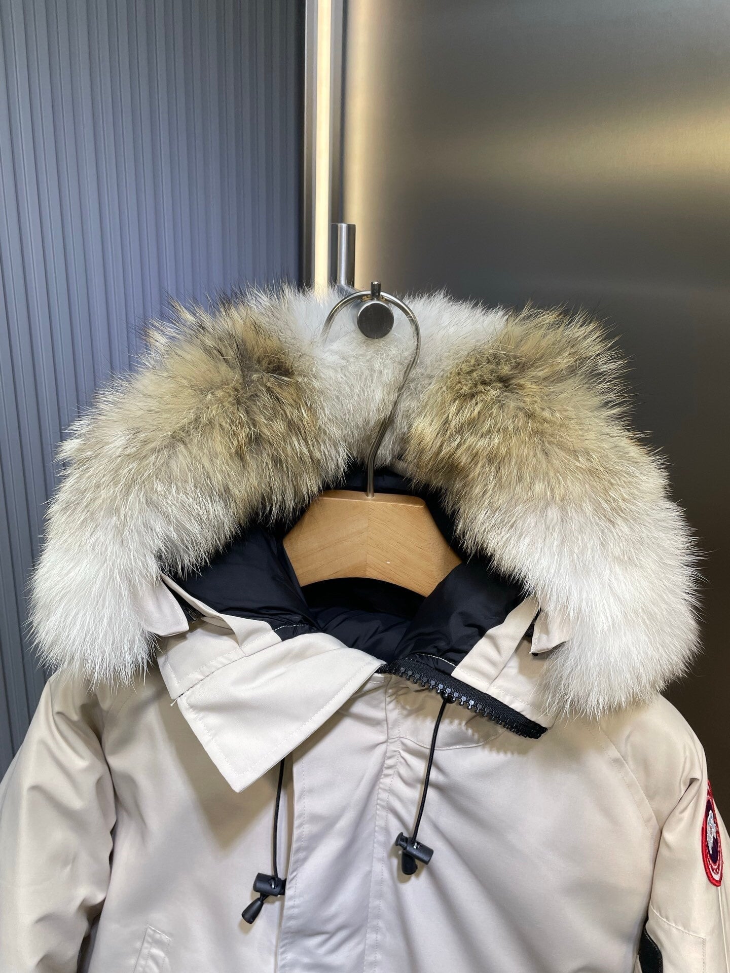 Canada Goose