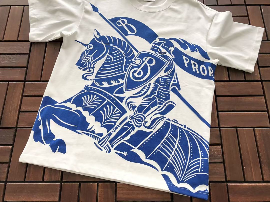 B🔥RB🔥RRY T-SHIRT