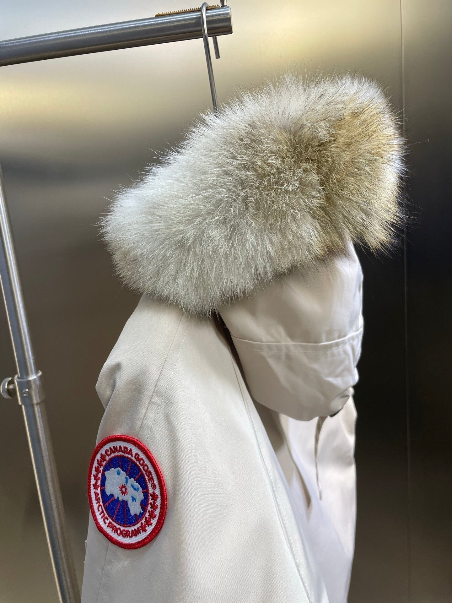 Canada Goose