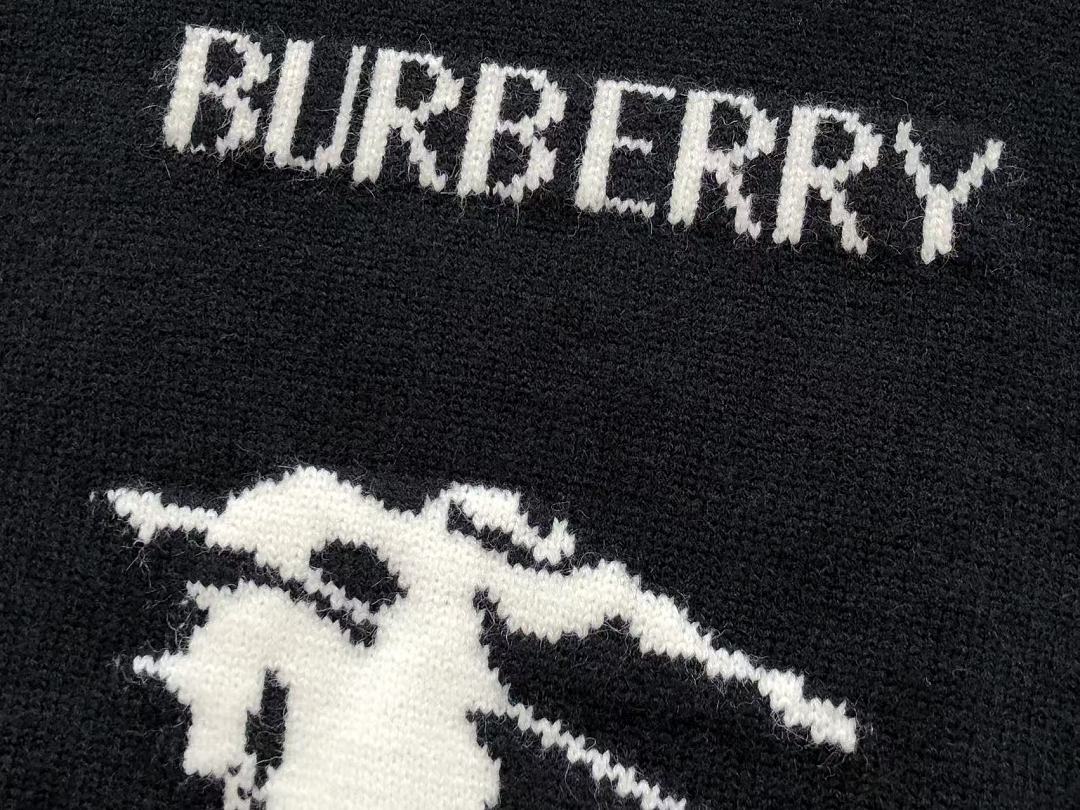 B🔥RB🔥RRY SWEATER