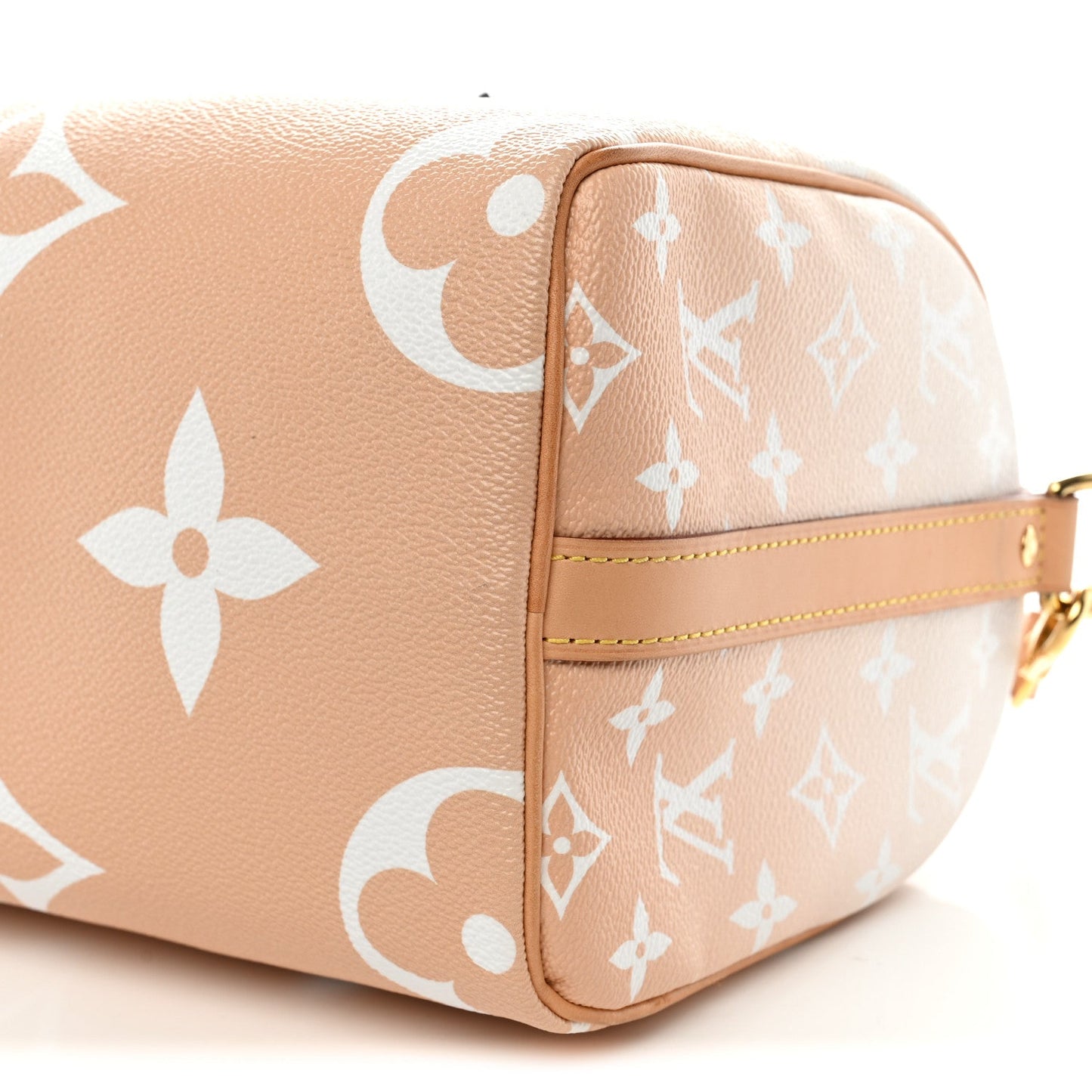 Monogram Giant By The Pool Speedy Bandouliere 25 Brume