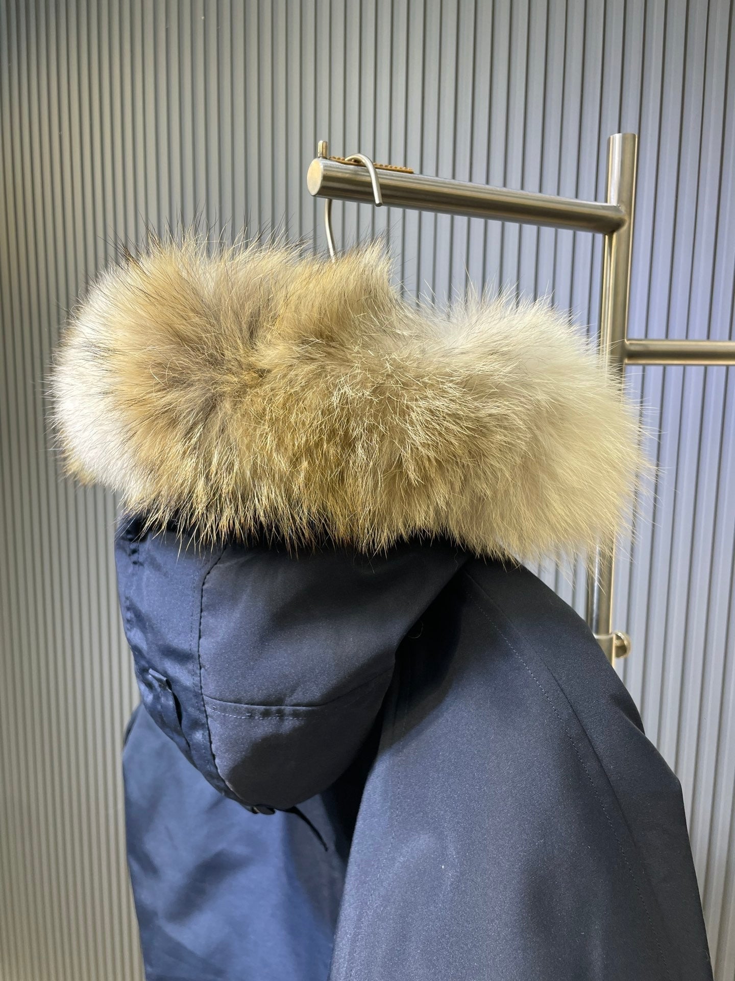 Canada Goose