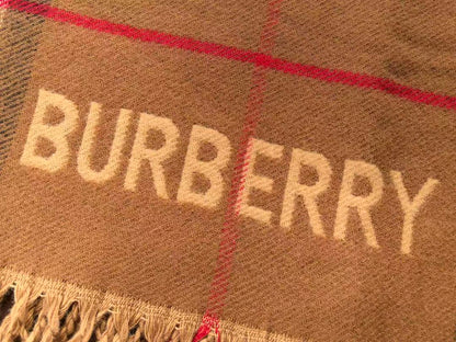 B🔥RB🔥RRY SCARF