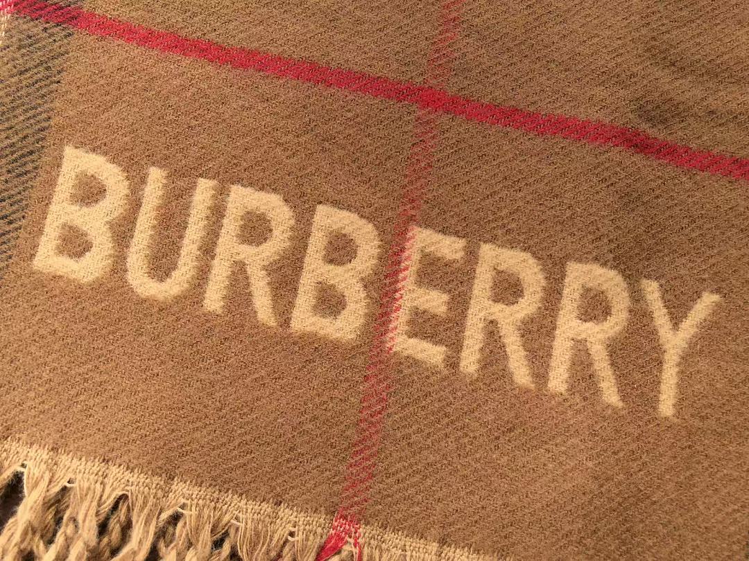 B🔥RB🔥RRY SCARF