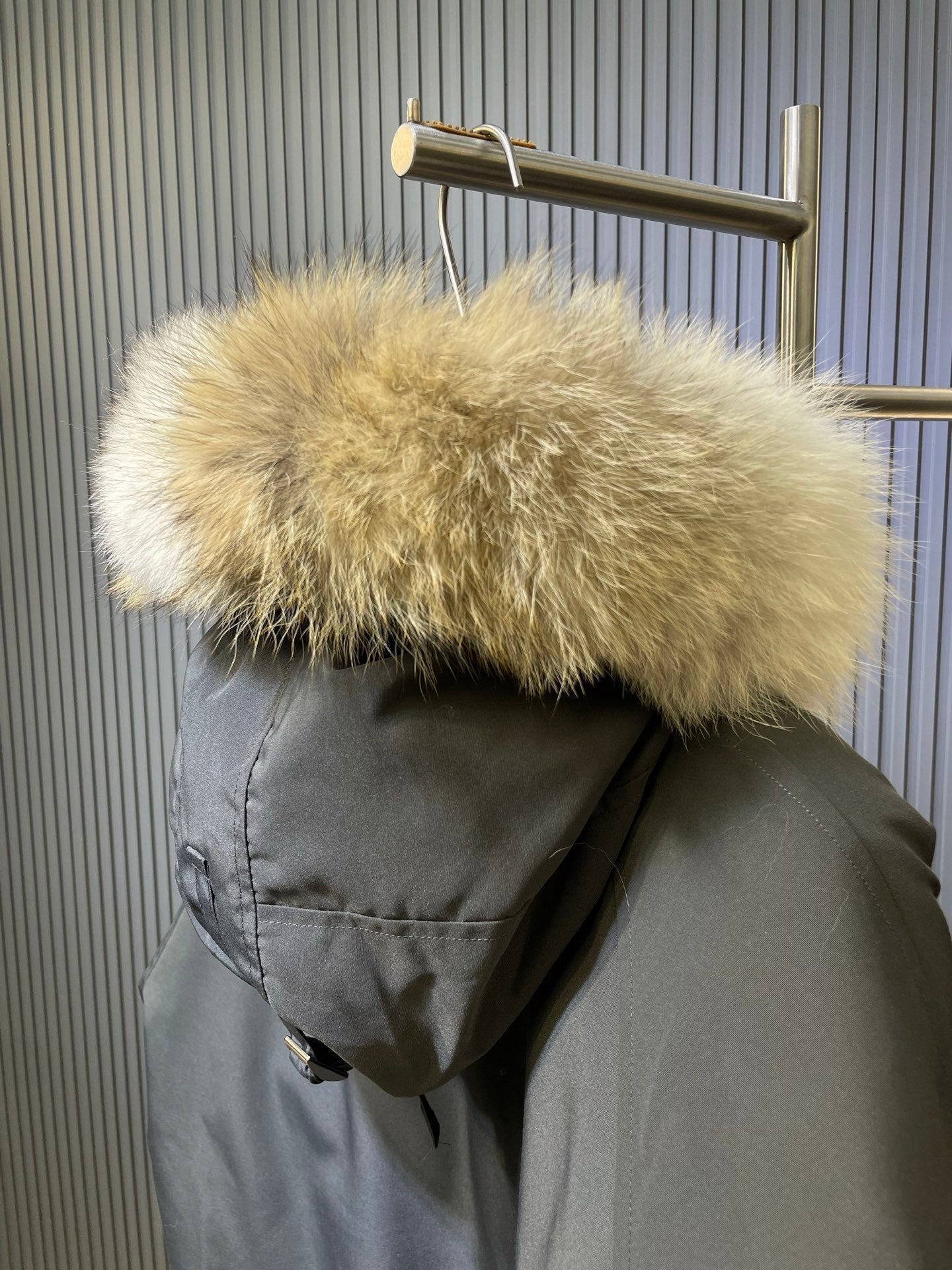 Canada Goose