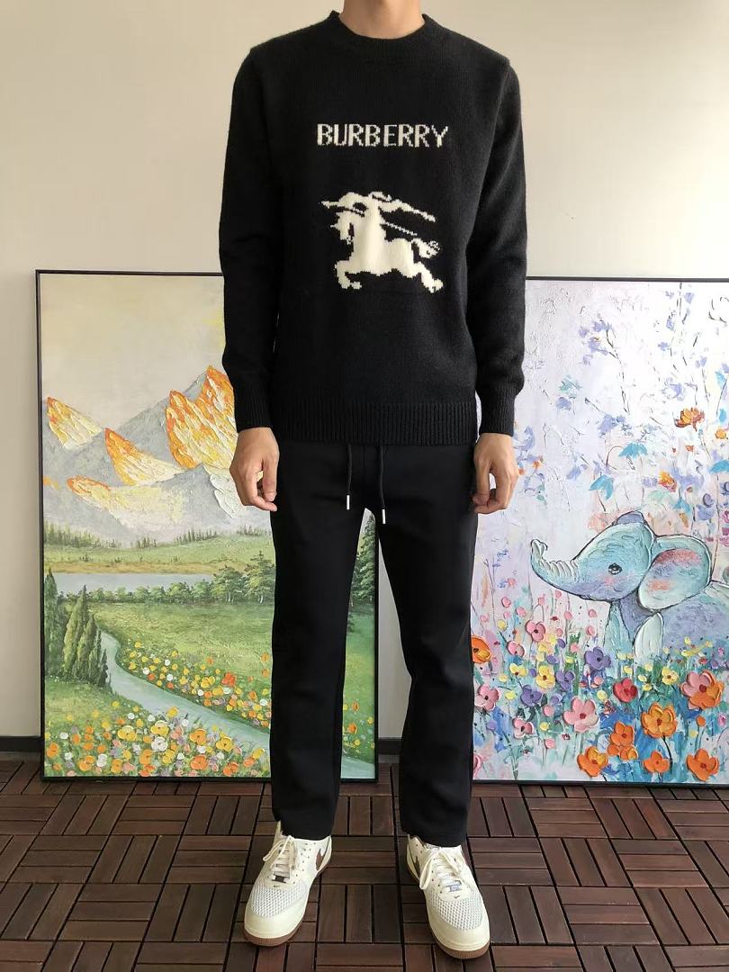 B🔥RB🔥RRY SWEATER