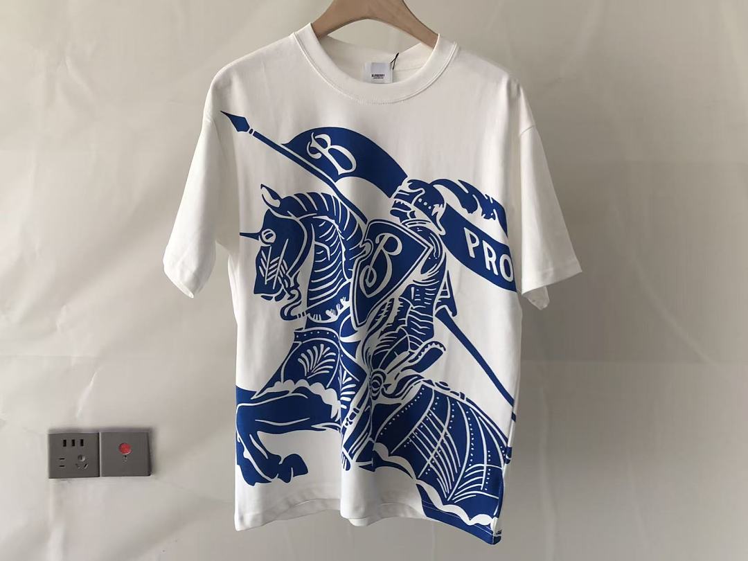 B🔥RB🔥RRY T-SHIRT