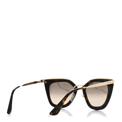 Acetate Cinema Sunglasses SPR 53S Tortoise