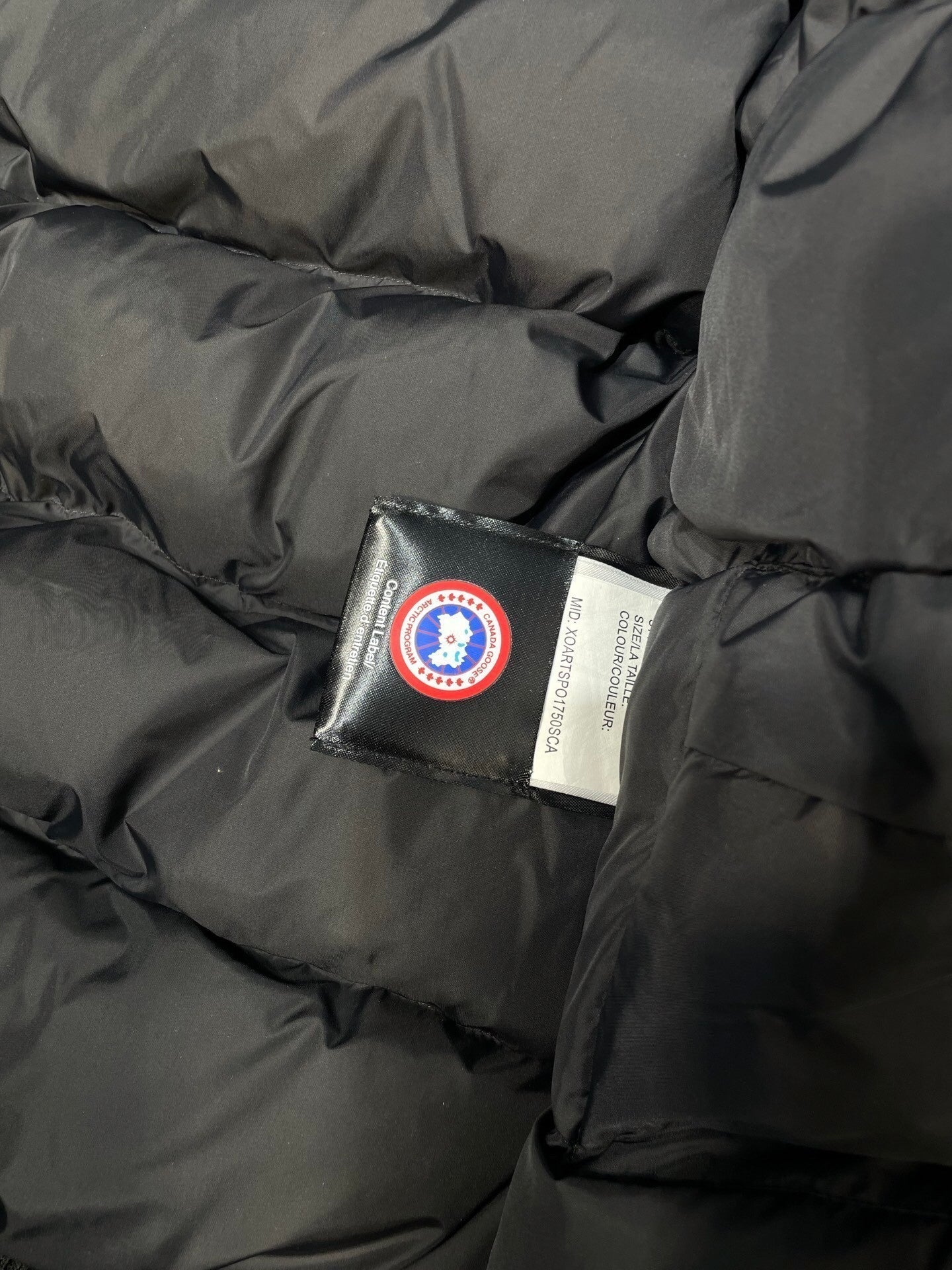 Canada Goose