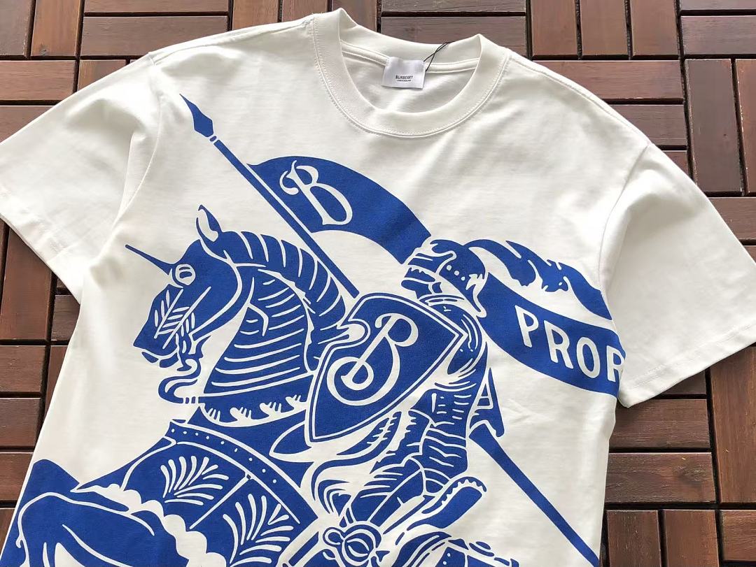 B🔥RB🔥RRY T-SHIRT