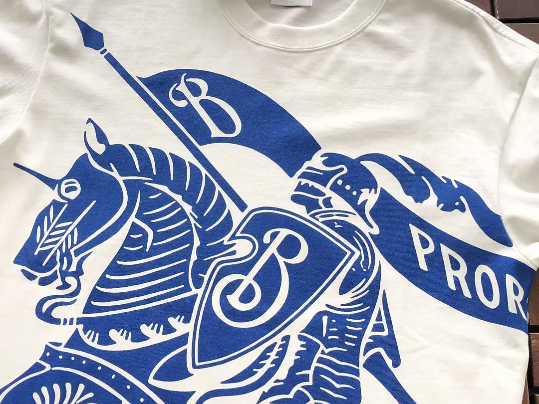 B🔥RB🔥RRY T-SHIRT