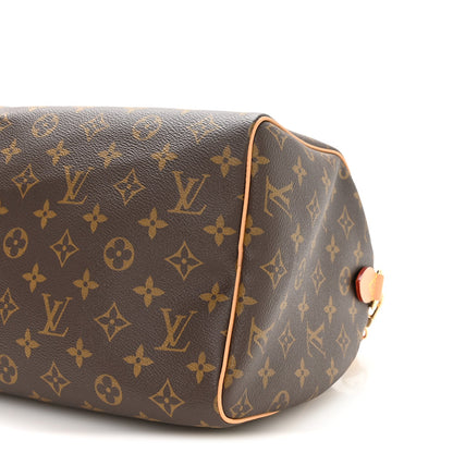 Monogram Speedy Soft Crafty 30