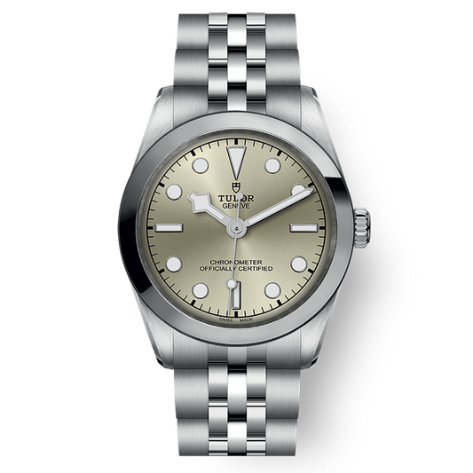 Tudor Black Bay